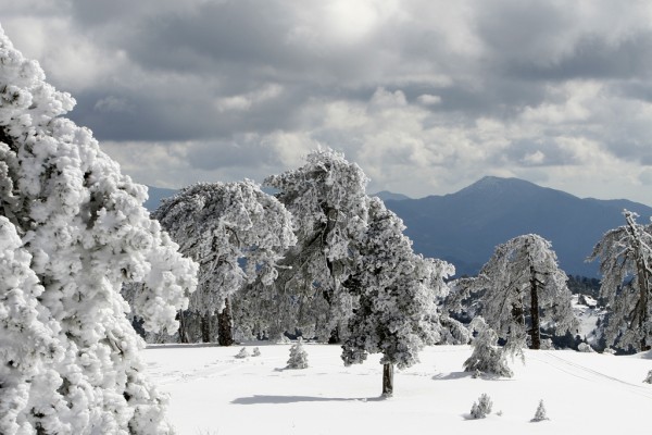 The snowy mountains of Troodos