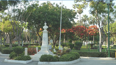 Municipal-gardens
