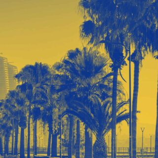 Limassol – Sightseeing and Activities